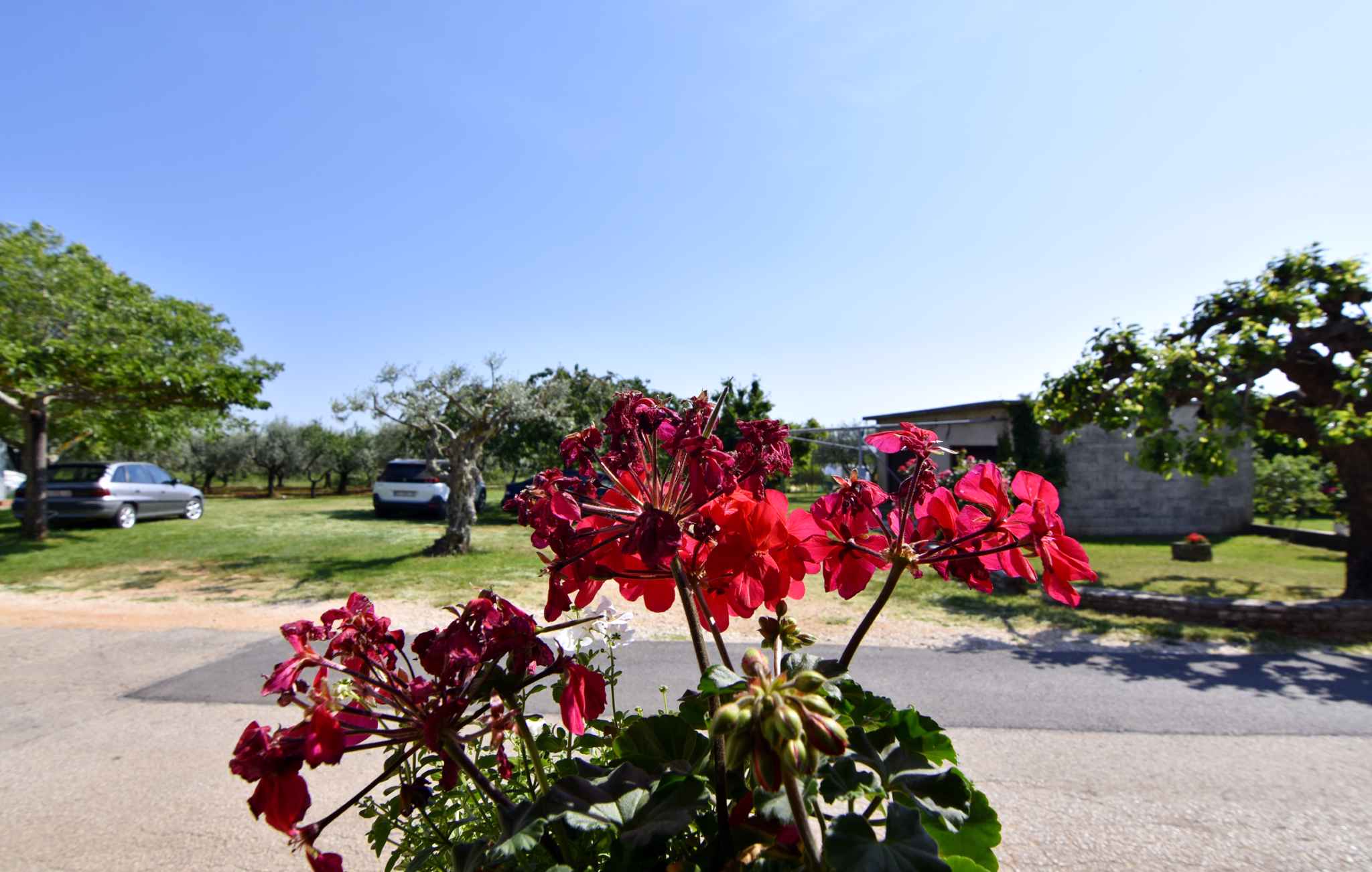 Ferienhaus mit eingezäuntem Garten, Terrasse, Klimaanlage und Parkplatz in der Nähe von Umag (3046660), Umag, , Istrien, Kroatien, Bild 18