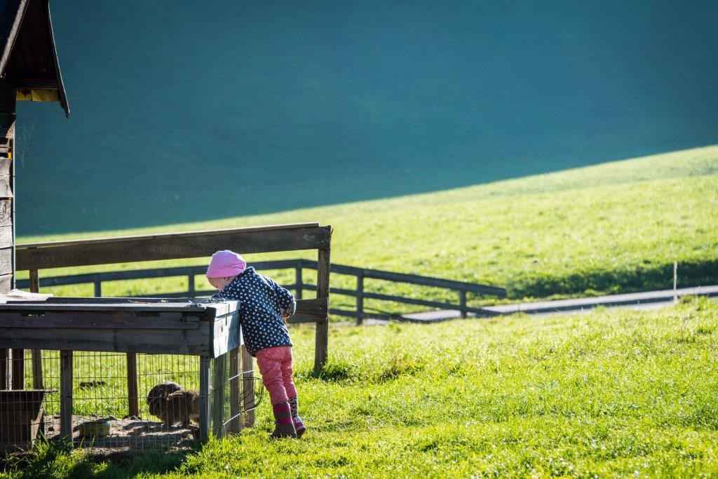 Ferienwohnung im Bauernhaus mit Hallenbad und Kinderspielraum im Areal (283609), Kolsassberg, Karwendel, Tirol, Österreich, Bild 18