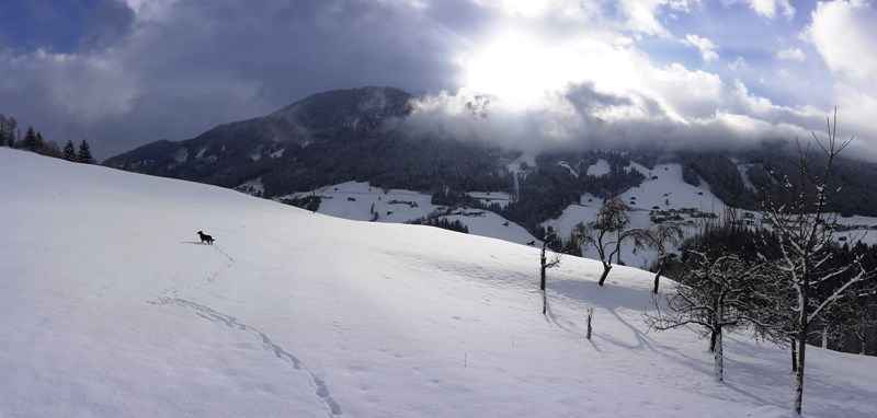 Ferienhaus mit Bergpanorama im Skigebiet (283826), Zell am Ziller, Zillertal Arena, Tirol, Österreich, Bild 8