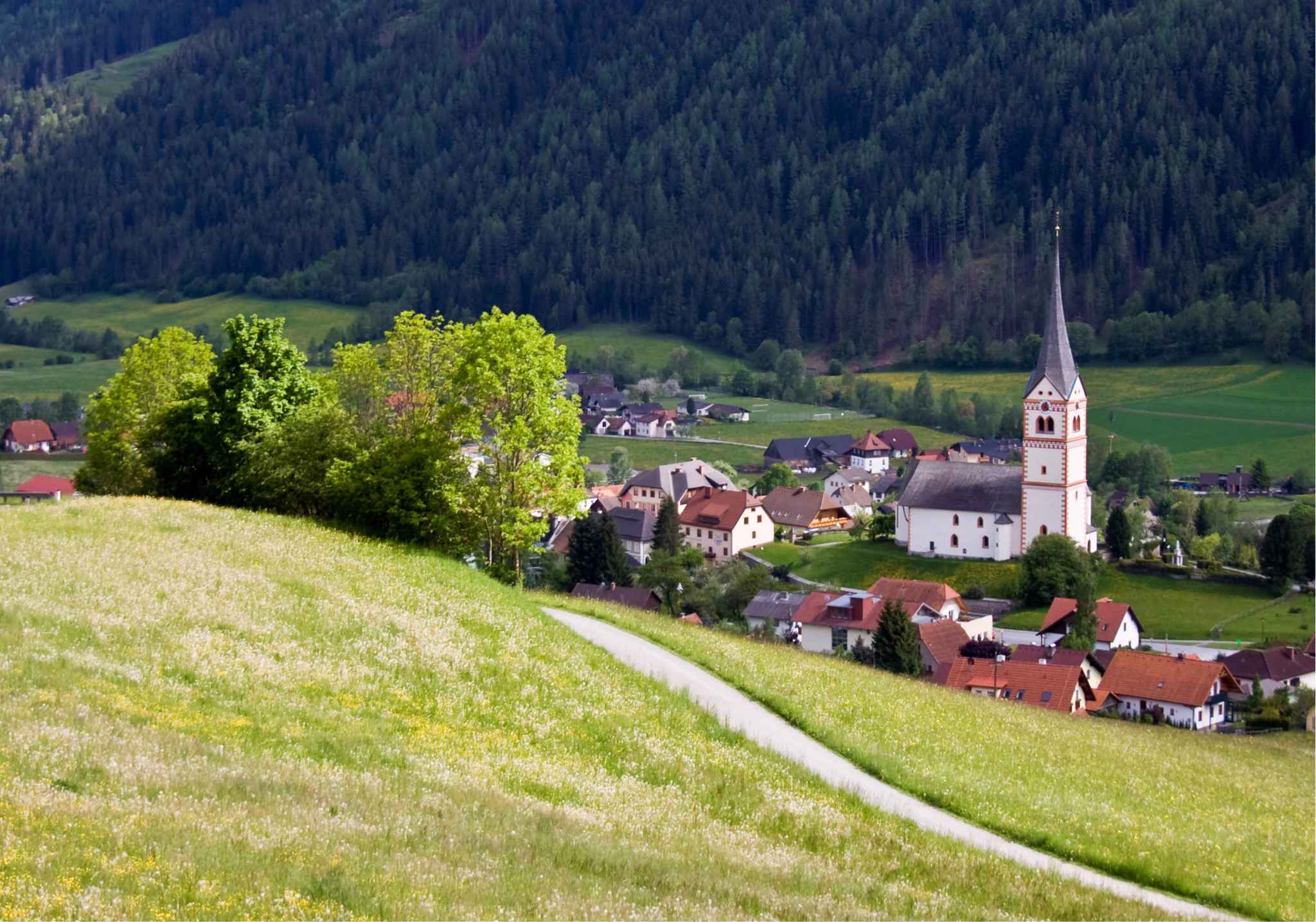 Ferienwohnung Mobilehome Bella Austria (627641), St. Peter am Kammersberg, Murtal, Steiermark, Österreich, Bild 19