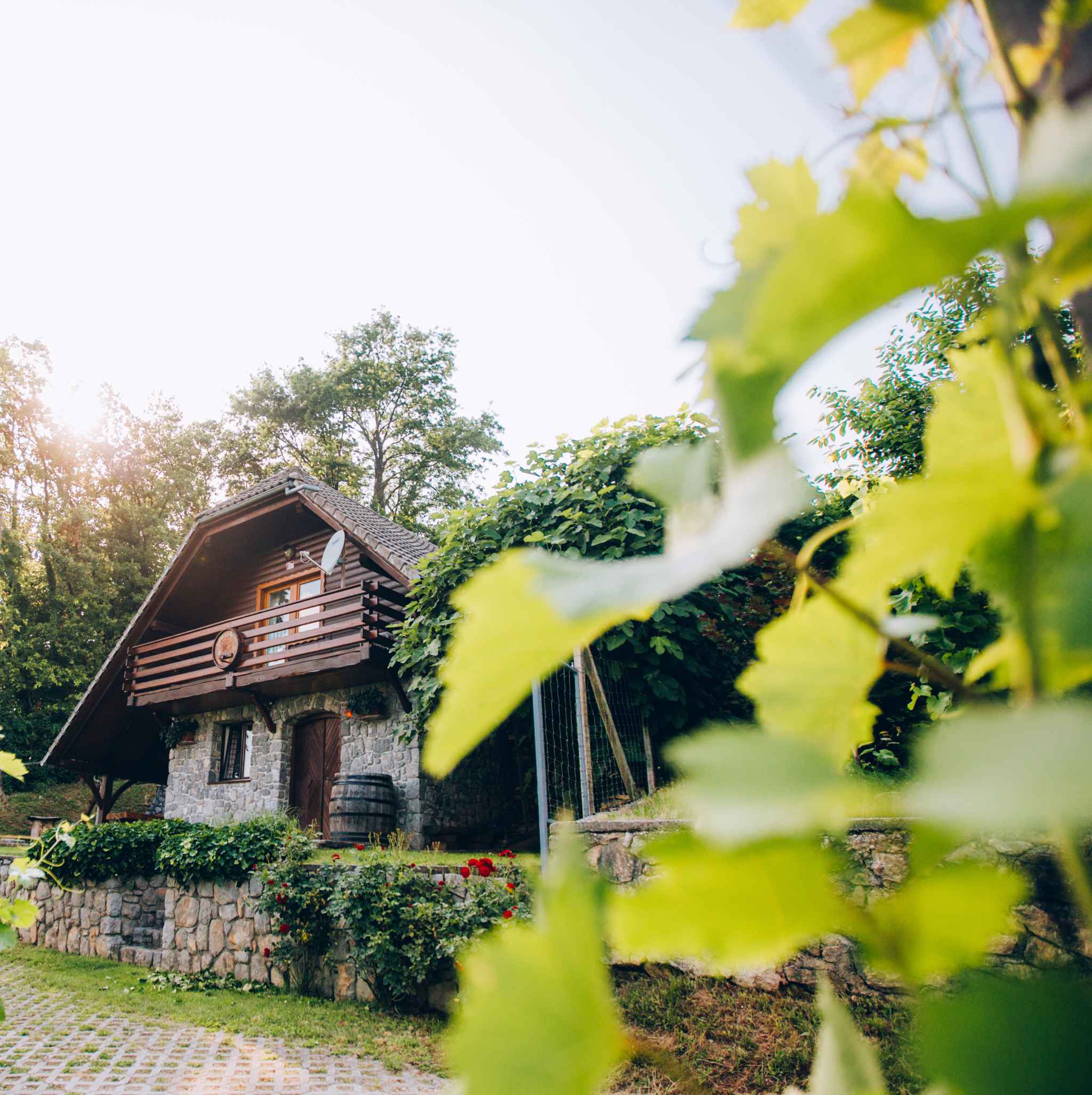Ferienhaus mit schönen Ausblick  in Slowenien