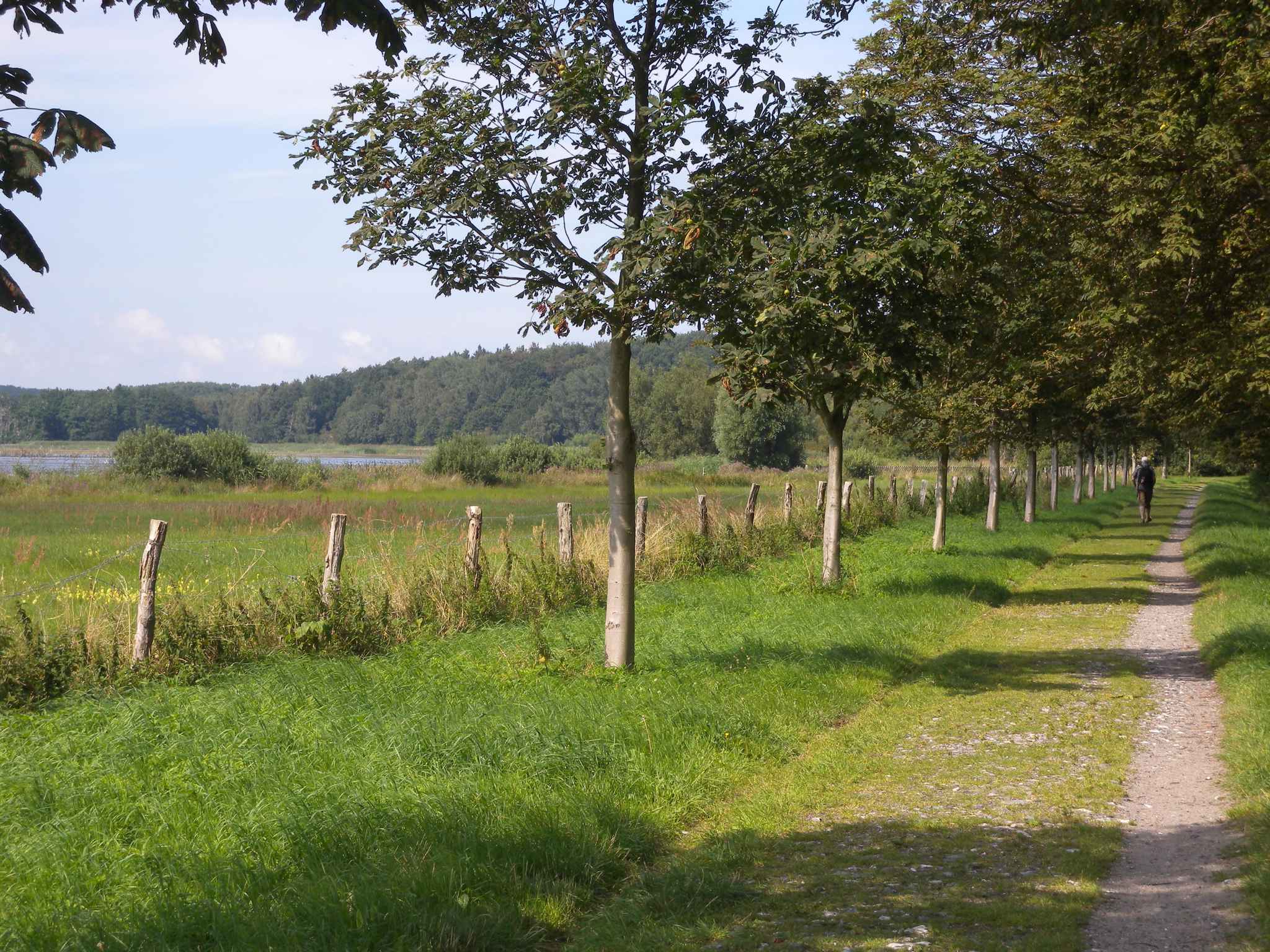 Ferienwohnung mit Terrasse und Garten (311984), Bergen (Rügen), Rügen, Mecklenburg-Vorpommern, Deutschland, Bild 11