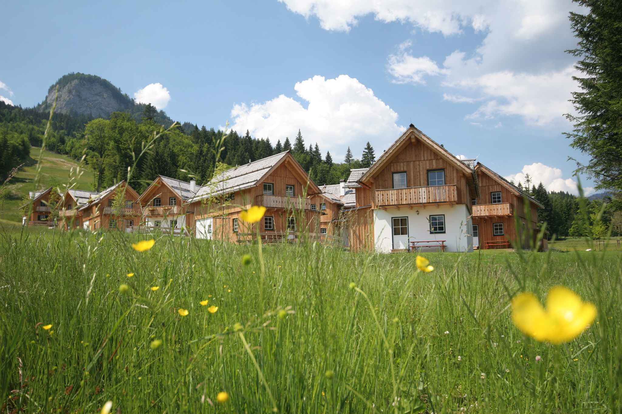 Ferienhaus mit eigener Sauna und rollstuhlgerechte Ferienhaus  Ausseerland Salzkammergut