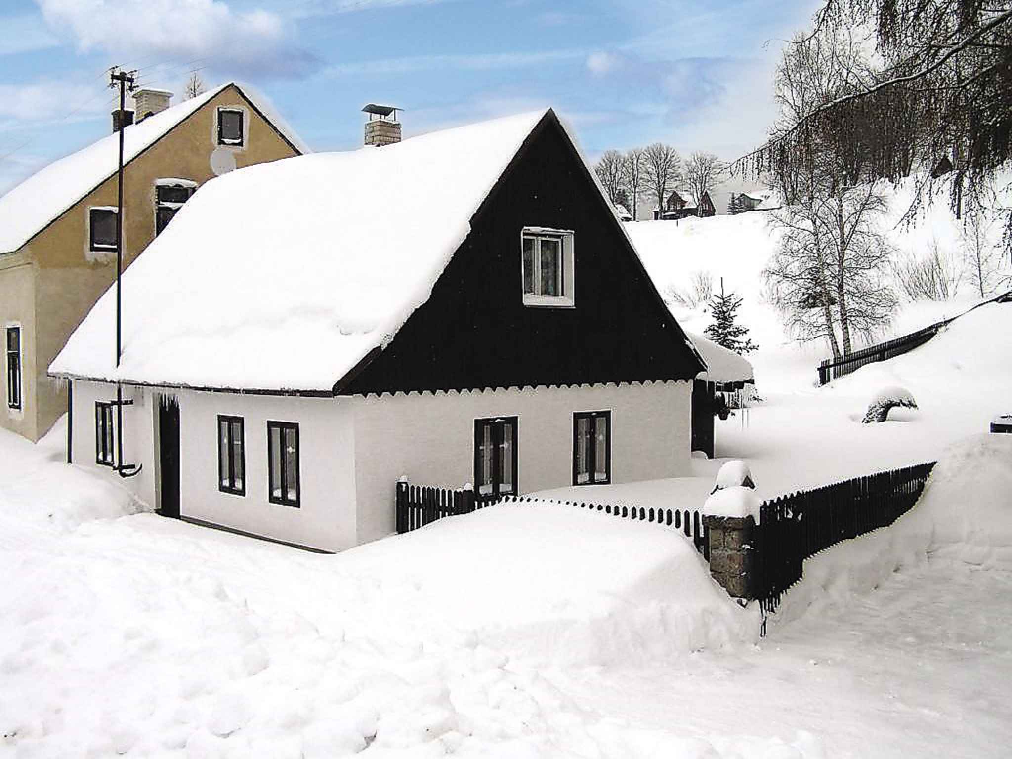 Ferienhaus mit Kamin im Skiort Ferienhaus 