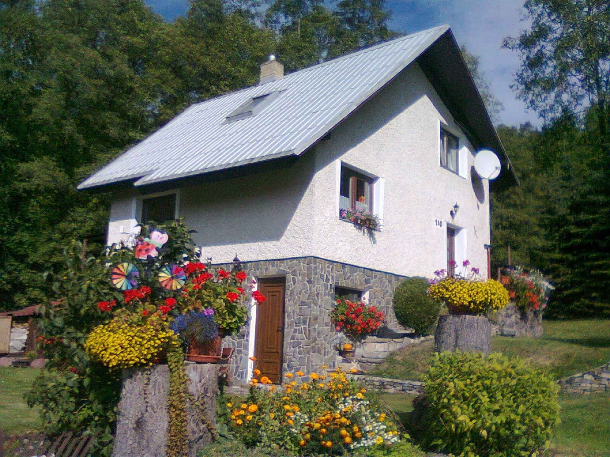 Berghütte im Wald mit Hinterteil Ferienhaus in Europa