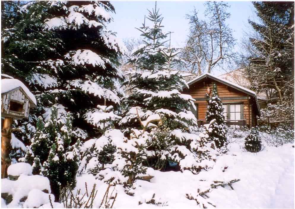 Ferienhaus Hütte mit Terrasse und Garten (317258), Putbus, Rügen, Mecklenburg-Vorpommern, Deutschland, Bild 10