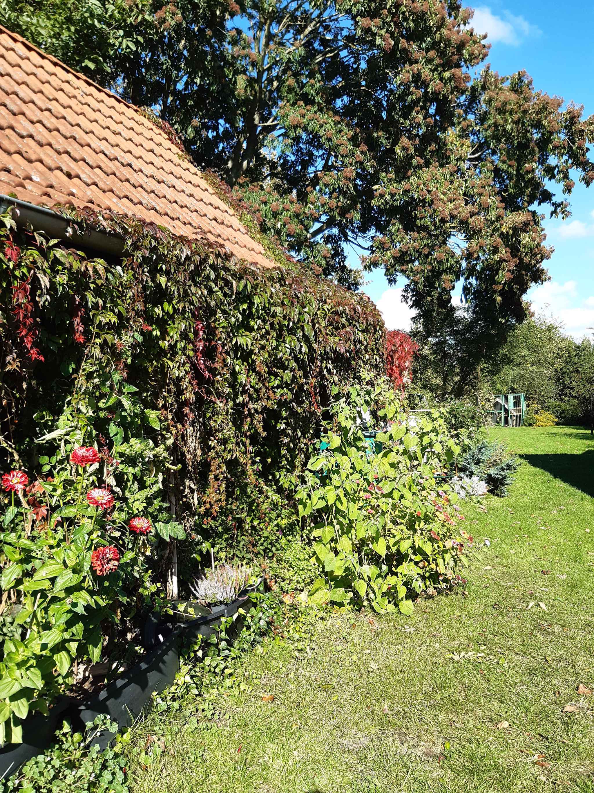 Ferienhaus mit Garten und Terrasse, 800 m zum Strand (314511), Gustow, Rügen, Mecklenburg-Vorpommern, Deutschland, Bild 6