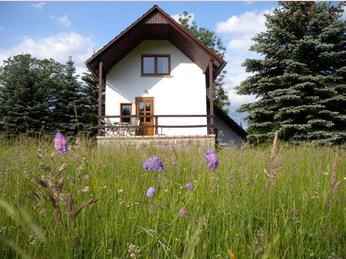 Ferienhaus mit Kamin