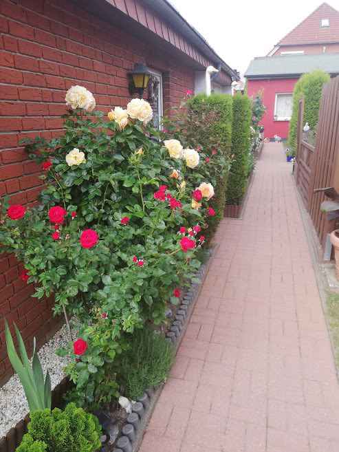 Ferienhaus mit Garten und Grillmöglichkeit (359291), Sassnitz, Rügen, Mecklenburg-Vorpommern, Deutschland, Bild 2