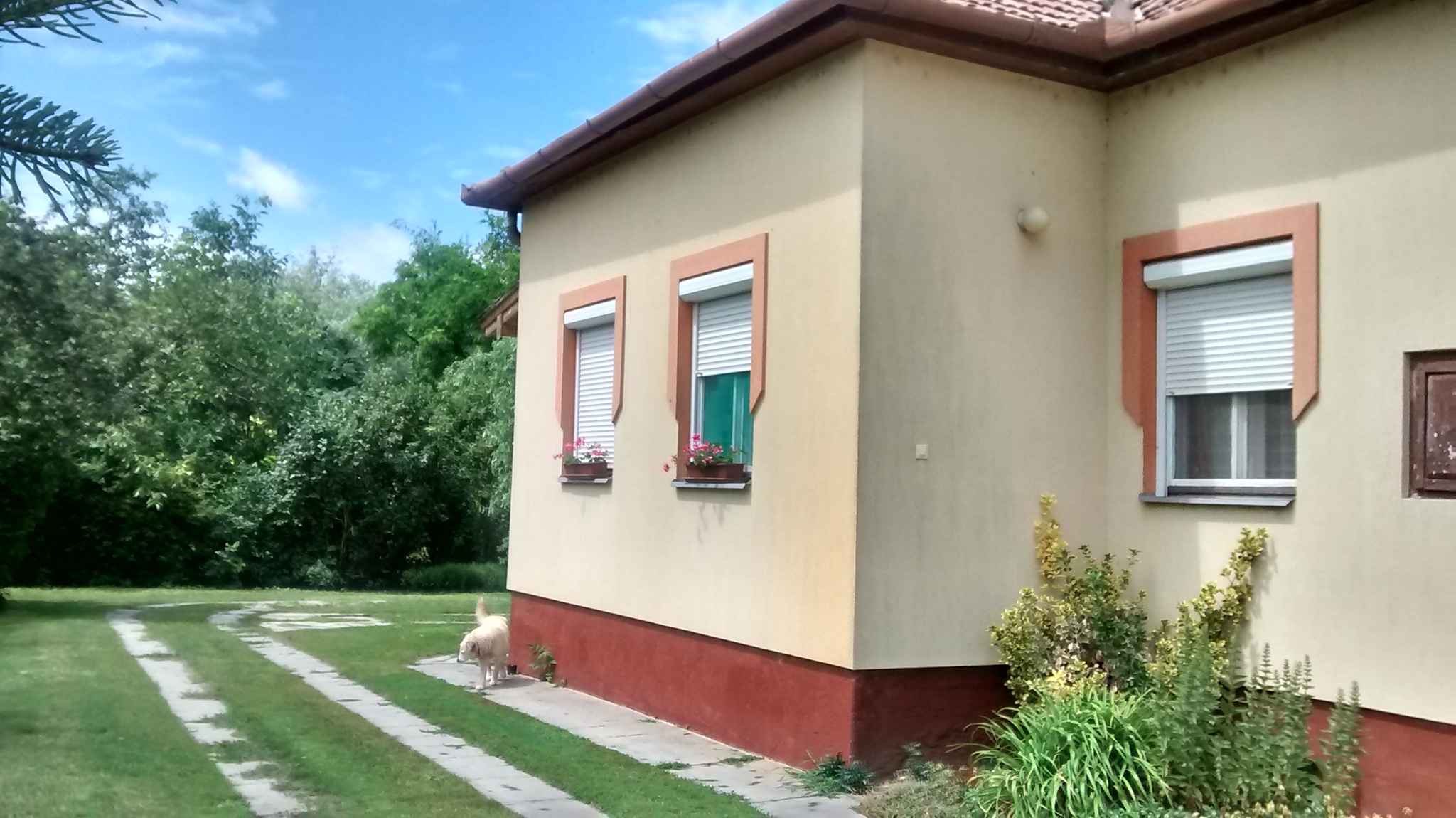 Ferienhaus mit gemütlichem Garten und Gartenp Ferienhaus in Ungarn