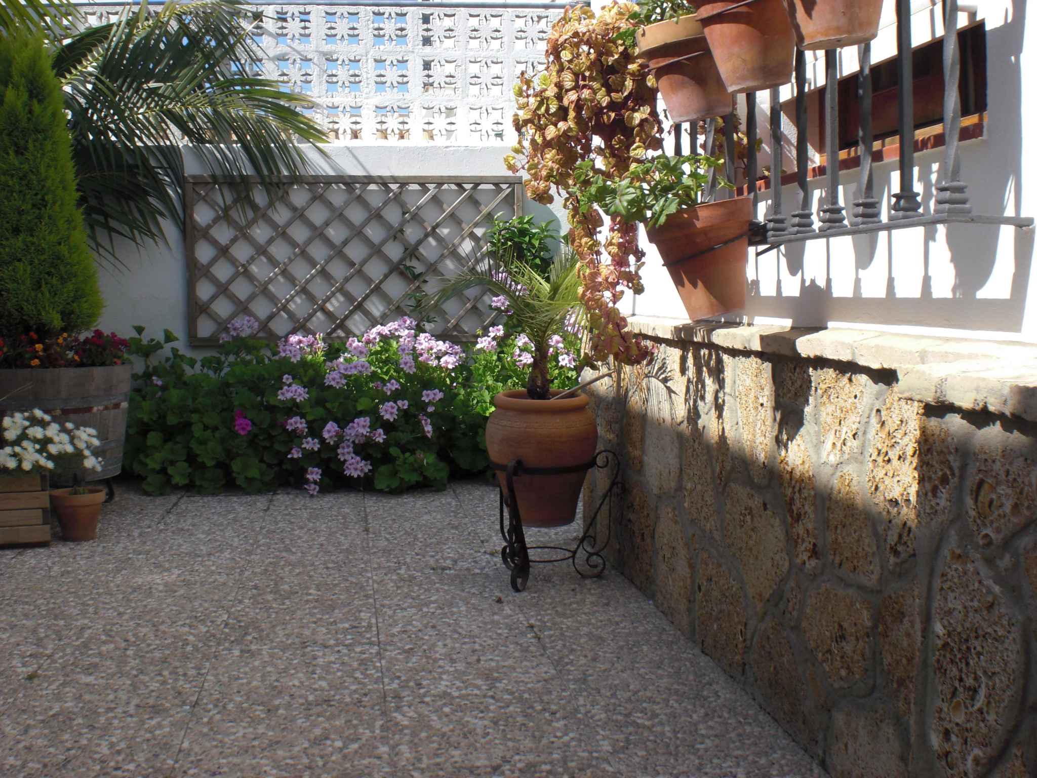 Ferienwohnung mit Terrasse  in Chipiona