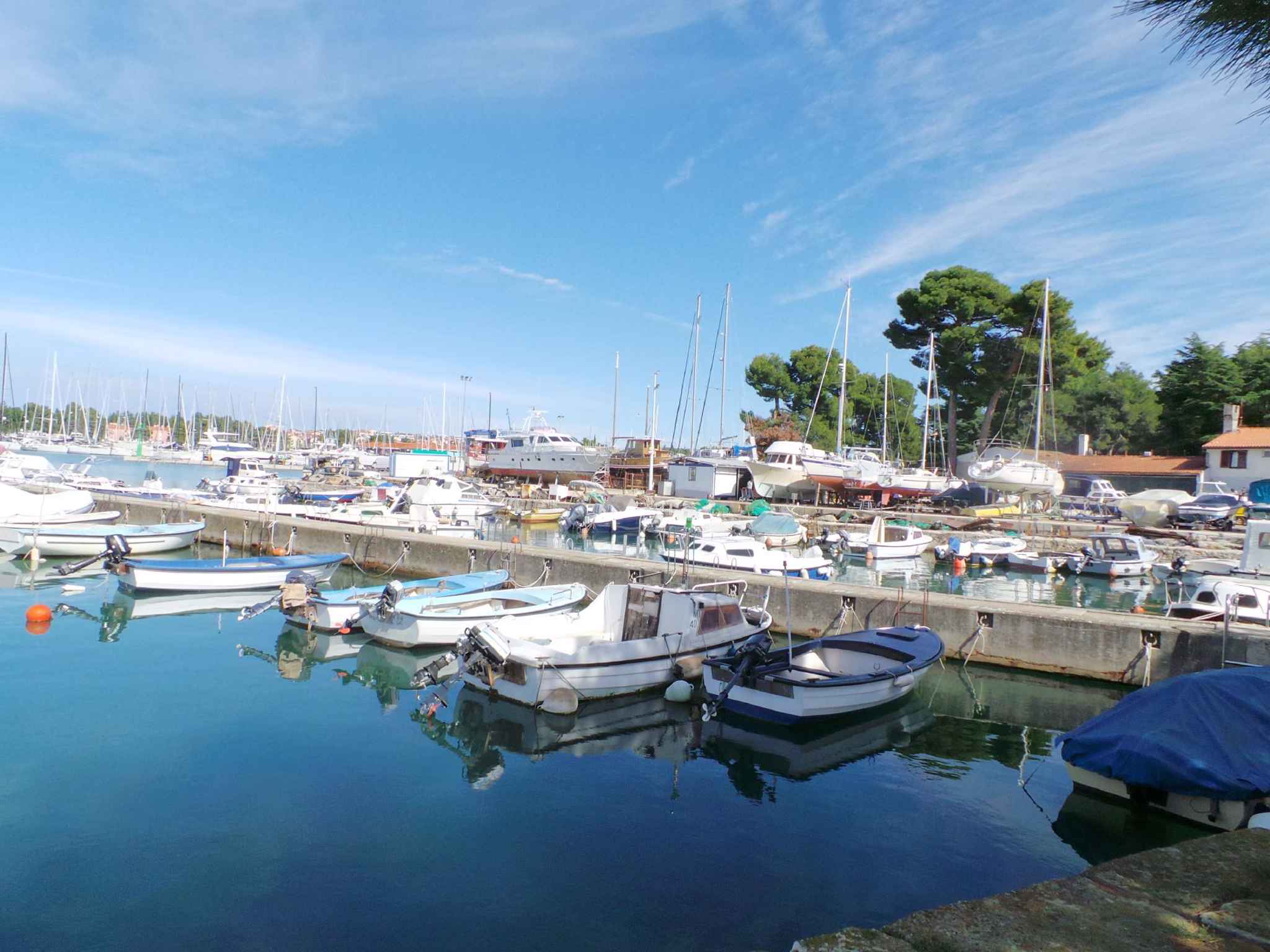 Ferienwohnung mit Meerblick (278910), Zadar, , Dalmatien, Kroatien, Bild 41