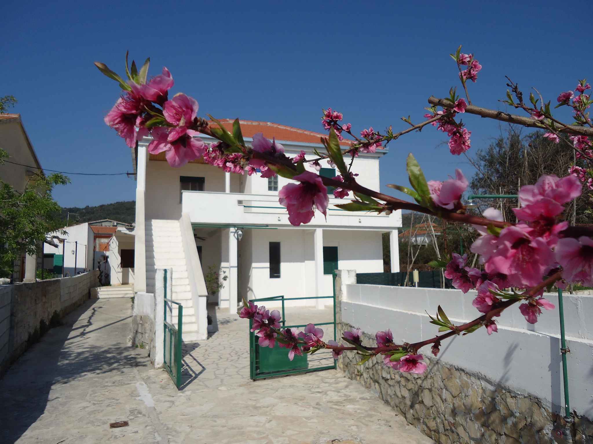 Ferienhaus direkt am Meer Ferienhaus in Dalmatien