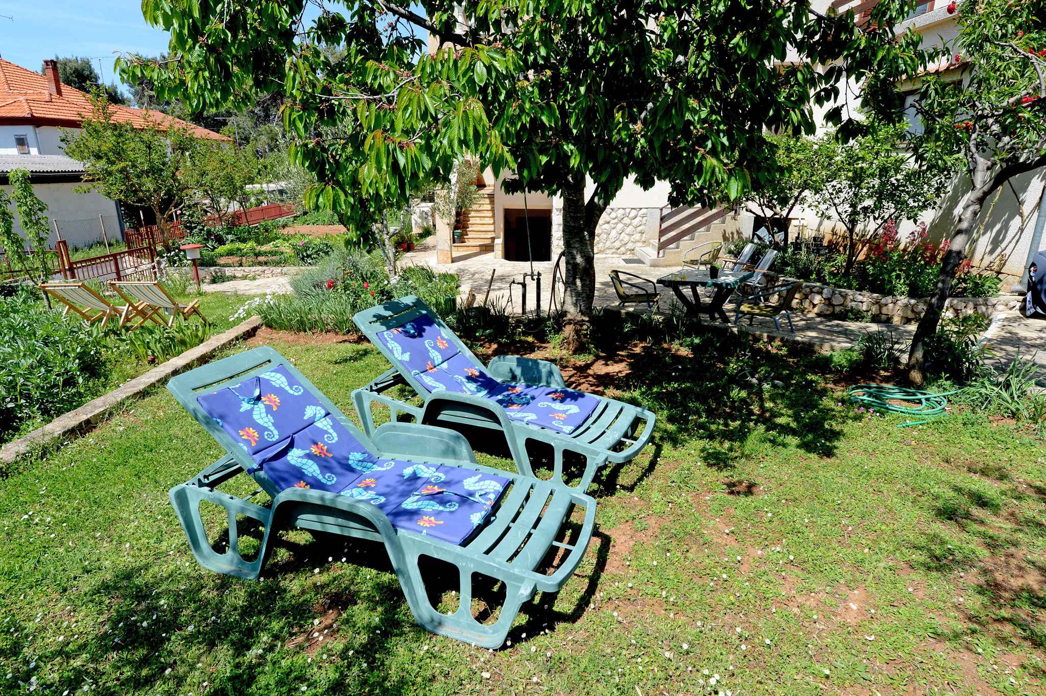 Ferienwohnung mit Garten und Grill (279070), Zadar, , Dalmatien, Kroatien, Bild 3